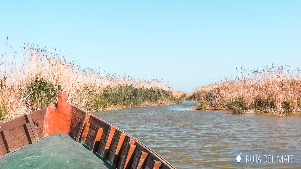 Visit Albufera Natural Park near Valencia