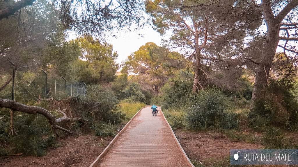 La Pinada in Albufera