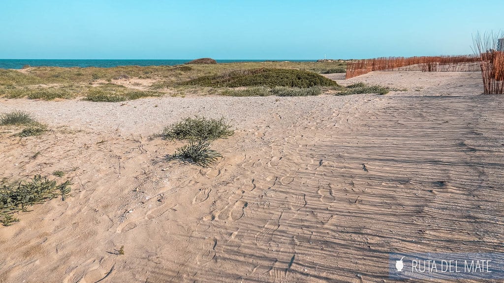 Dunes of El Saler
