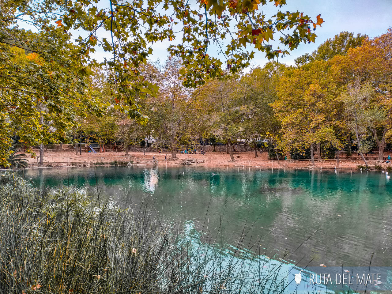 albuferra, essential things to do in anna
