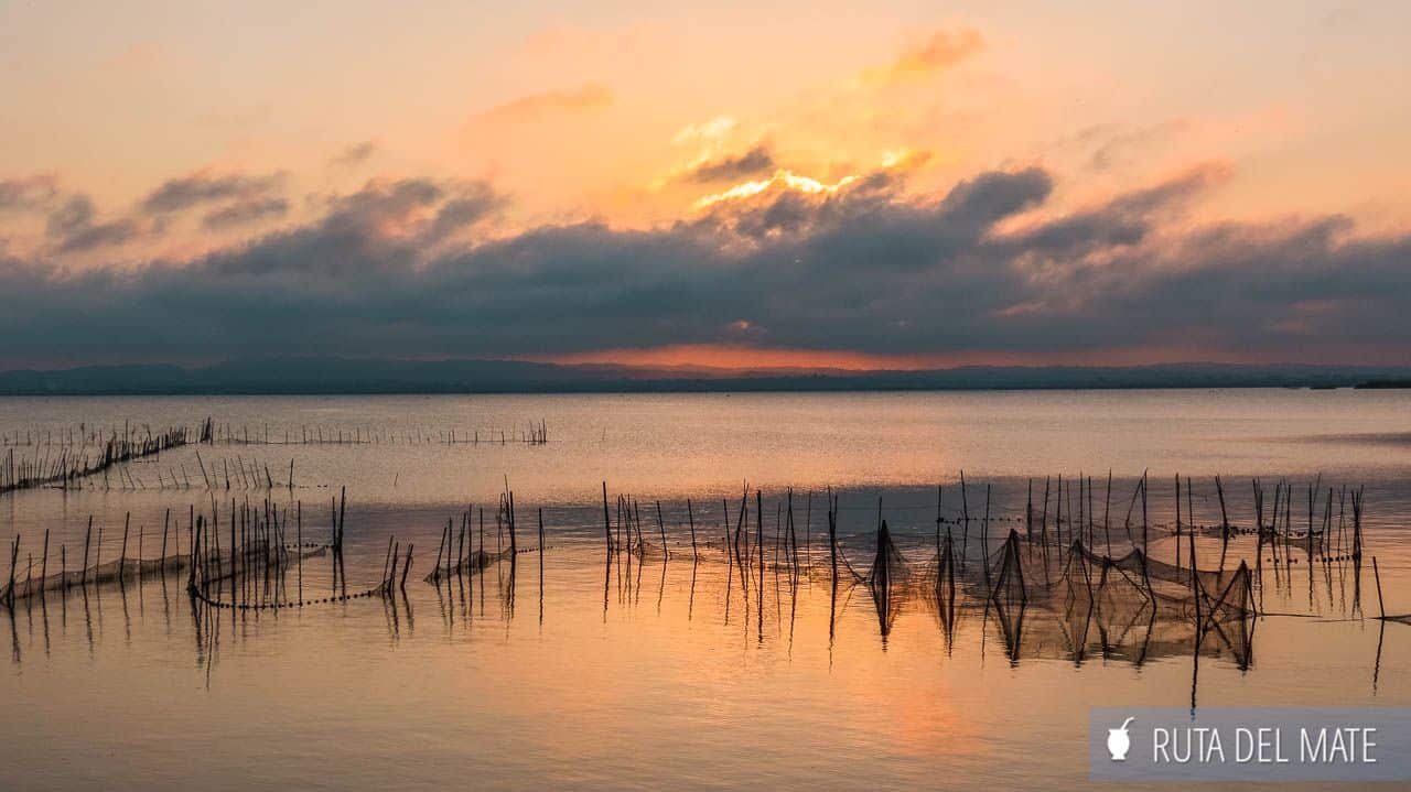 The Albufera, one of the Day trips from Valencia: best tours in English