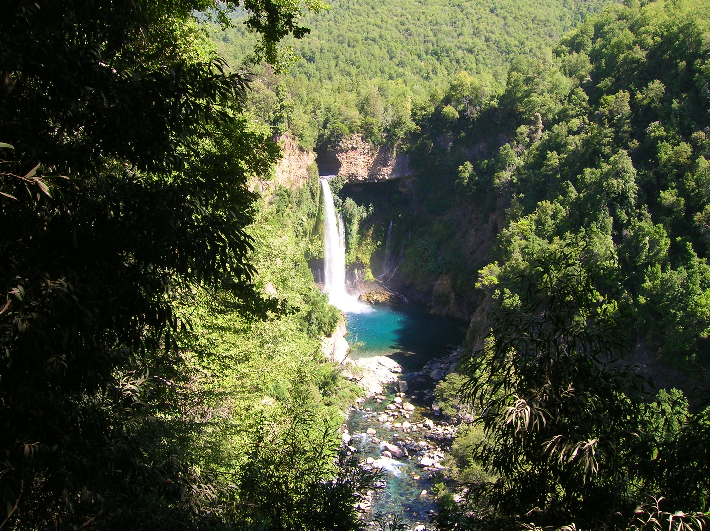 DSCN9796